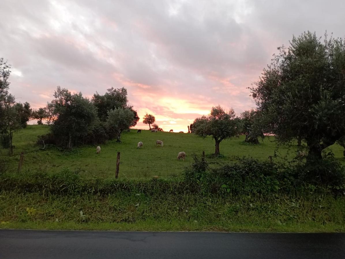 Retiro Da Cegonha Villa Crato Eksteriør bilde