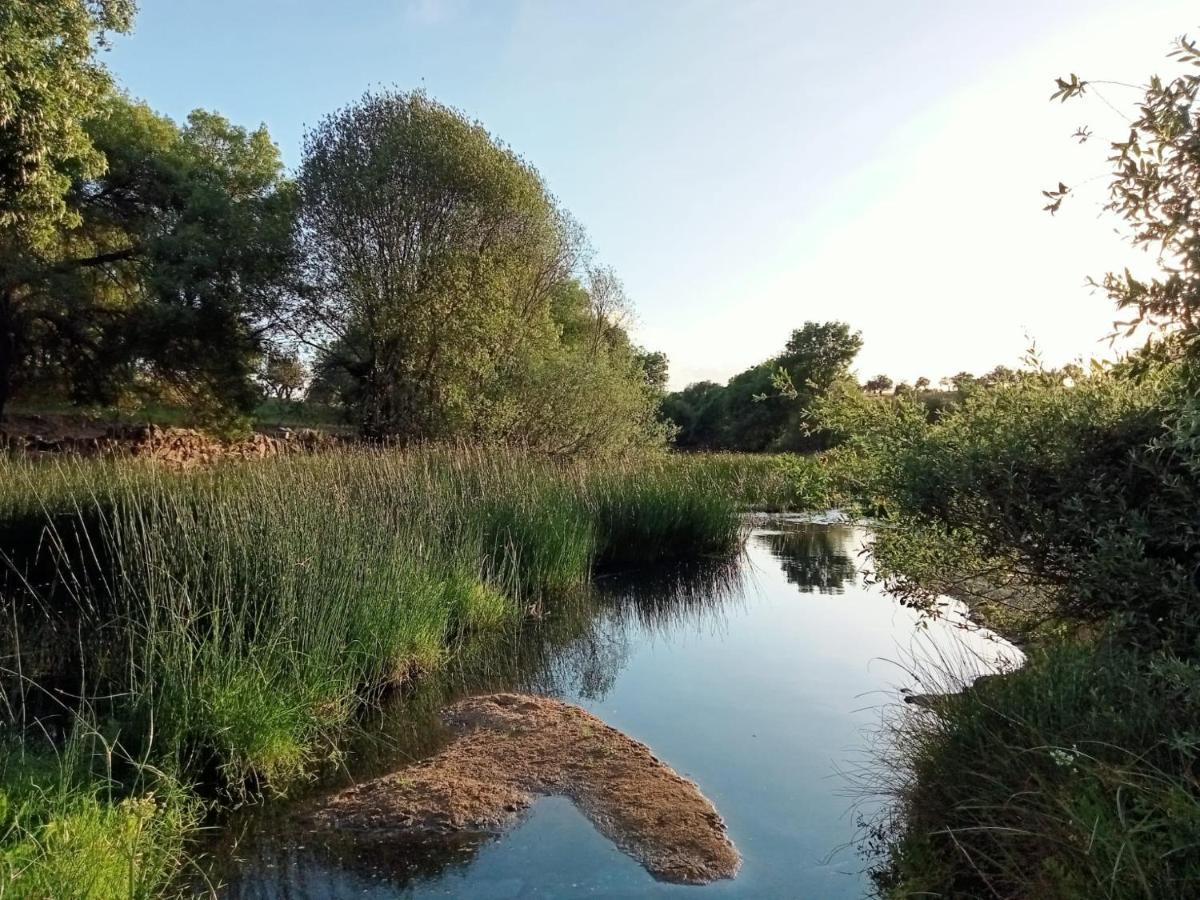 Retiro Da Cegonha Villa Crato Eksteriør bilde